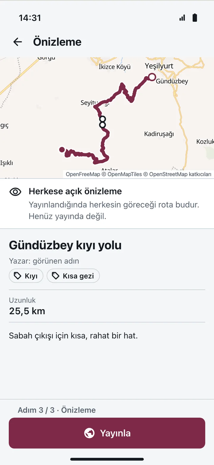 The app share preview screen
